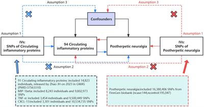 Genetics of causal relationships between circulating inflammatory proteins and postherpetic neuralgia: a bidirectional Mendelian randomization study